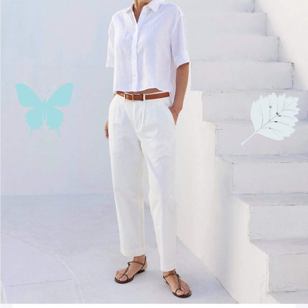 Babaton Aritzia The Metropolitan Twil Pants